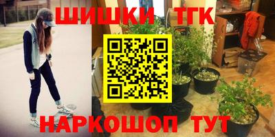стафф Можга
