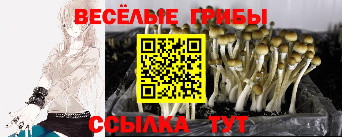 ГАШИШ Свободный
