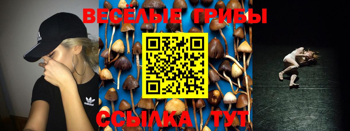 Псилоцибиновые грибы прущие грибы  Галлюциногенные грибы GOLDEN TEACHER  Свободный  Вход с VPN 